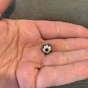 Authentic Pandora Charm